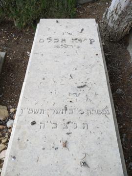 תמונת מצבה
