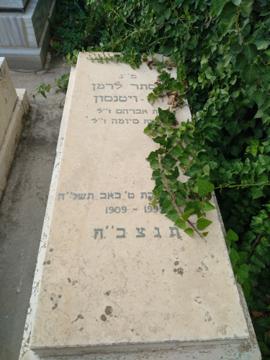 תמונת מצבה