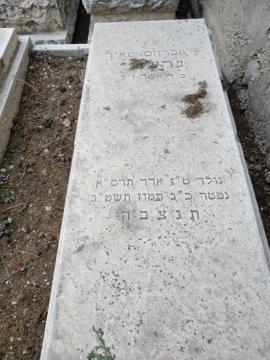 תמונת מצבה