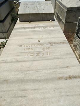 תמונת מצבה