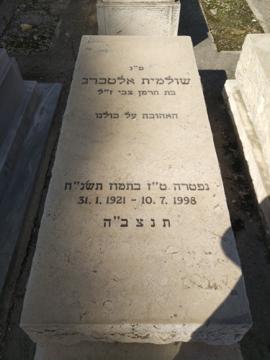 תמונת מצבה
