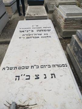תמונת מצבה