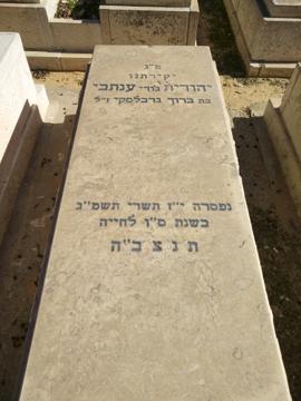 תמונת מצבה