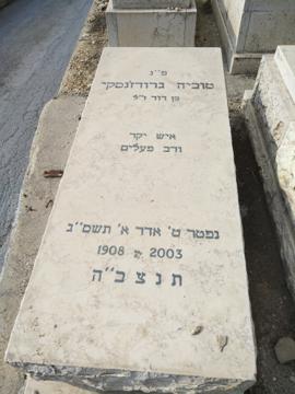 תמונת מצבה