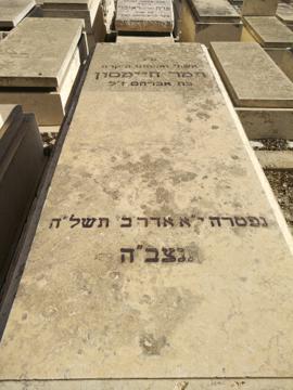 תמונת מצבה