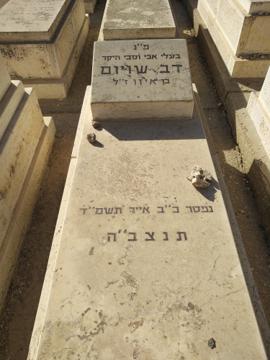 תמונת מצבה