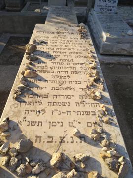 תמונת מצבה