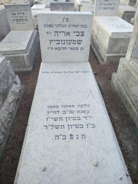 תמונת מצבה