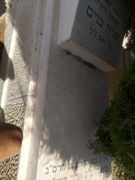 תמונת מצבה
