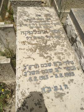 תמונת מצבה