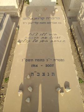 תמונת מצבה