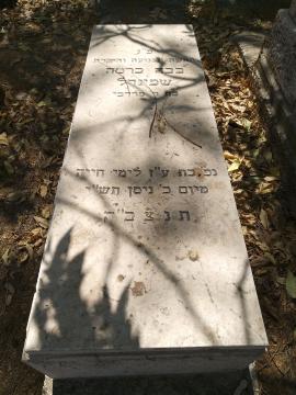 תמונת מצבה
