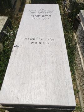 תמונת מצבה