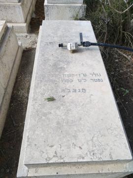 תמונת מצבה