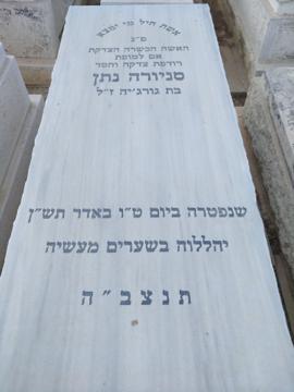 תמונת מצבה