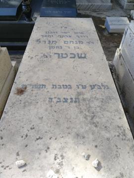 תמונת מצבה