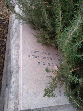 תמונת מצבה