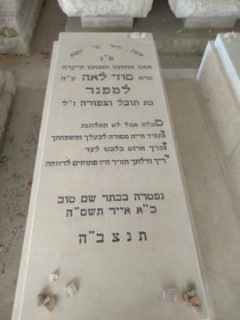 תמונת מצבה