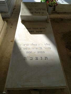 תמונת מצבה