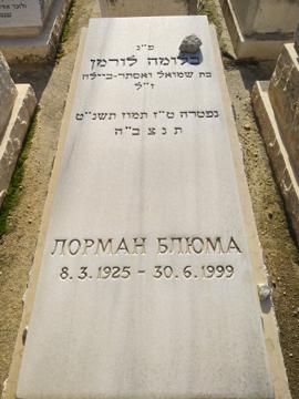 תמונת מצבה