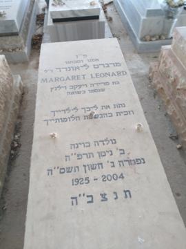 תמונת מצבה