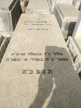 תמונת מצבה
