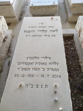תמונת מצבה