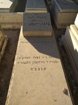 תמונת מצבה