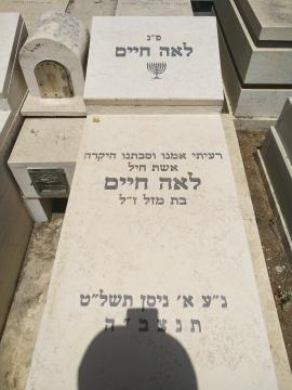 תמונת מצבה