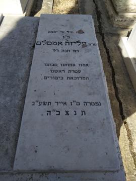 תמונת מצבה