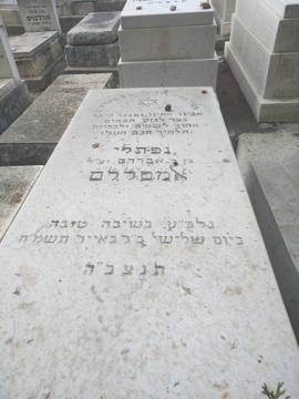 תמונת מצבה