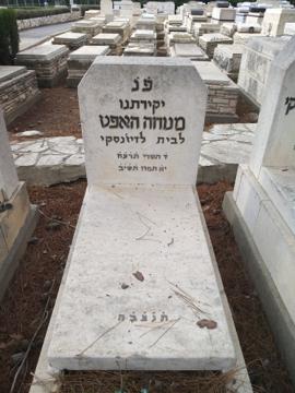 תמונת מצבה