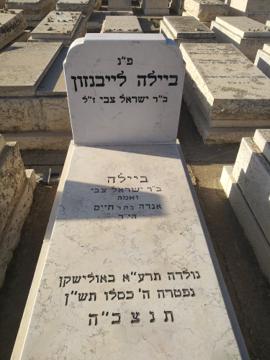 תמונת מצבה
