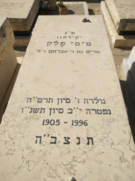 תמונת מצבה
