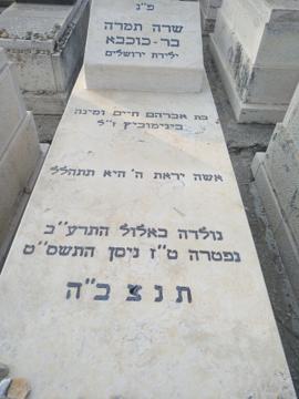תמונת מצבה