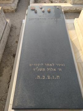 תמונת מצבה