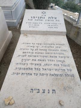 תמונת מצבה