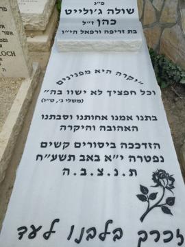 תמונת מצבה