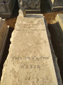 תמונת מצבה