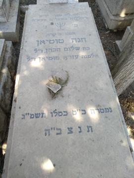 תמונת מצבה