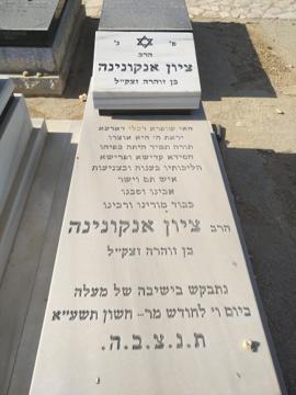 תמונת מצבה