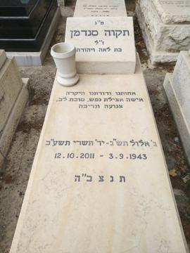 תמונת מצבה