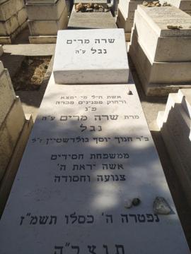 תמונת מצבה