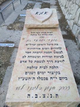 תמונת מצבה