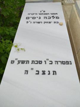 תמונת מצבה