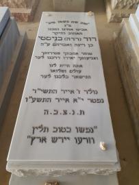 תמונת מצבה