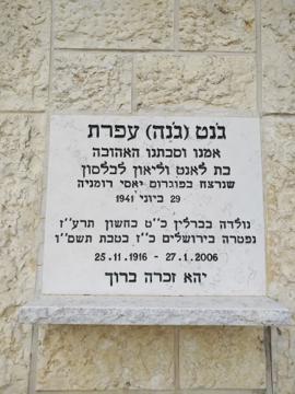 תמונת מצבה