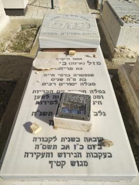 תמונת מצבה