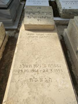 תמונת מצבה