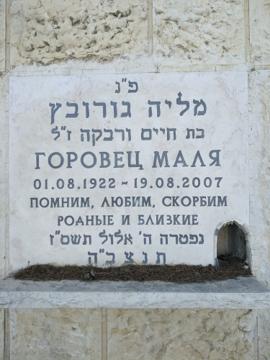 תמונת מצבה